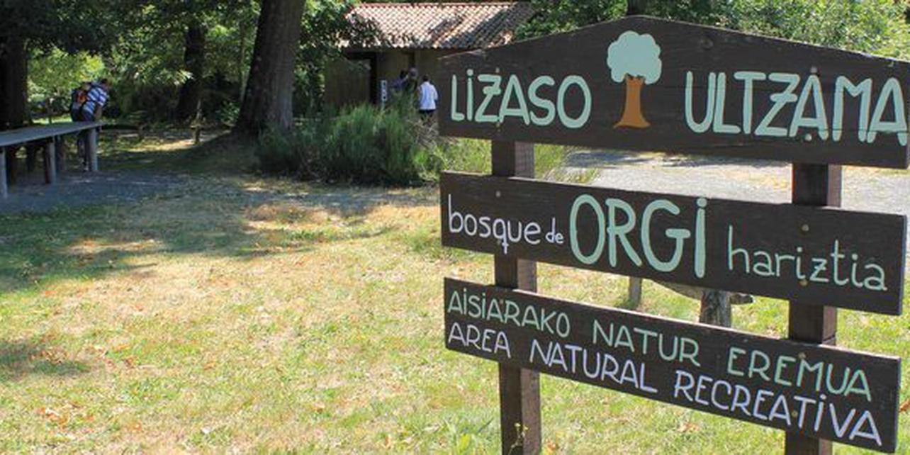 Bosque de Orgi Bosque de Orgi