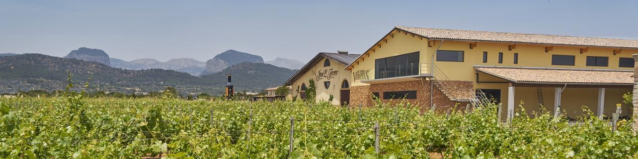 Bodegas Jose L. Ferrer Bodegas Jose L. Ferrer