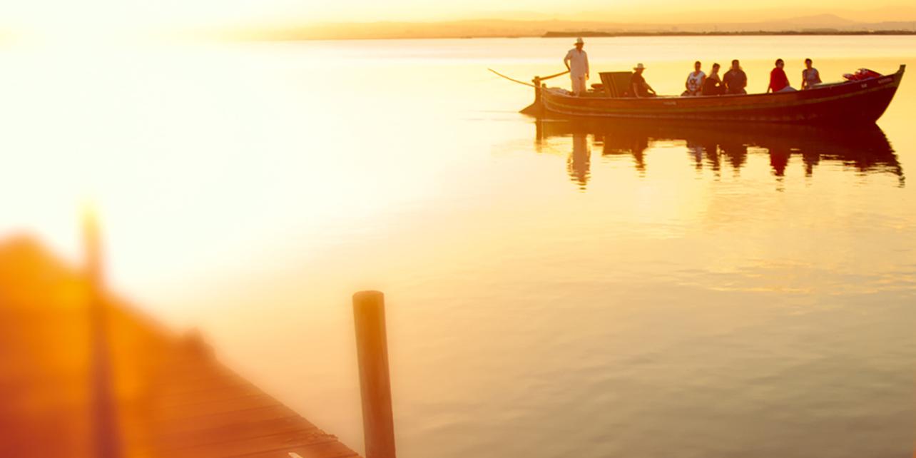 La Albufera La Albufera