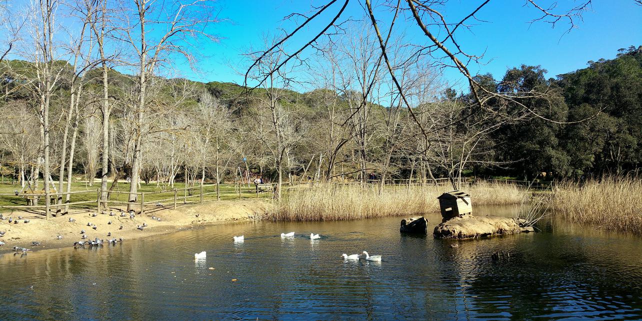 Parque de Sa Riera Parque de Sa Riera