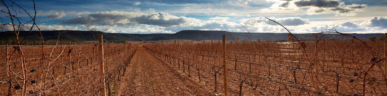 Bodegas Benjamín de Rothschild & Vega Sicilia Bodegas Benjamín de Rothschild & Vega Sicilia
