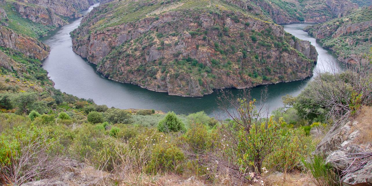 Parque Natural Arribes de Duero Parque Natural Arribes de Duero