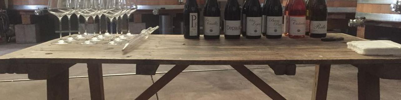 Bodegas y Viñedos Ponce Bodegas y Viñedos Ponce