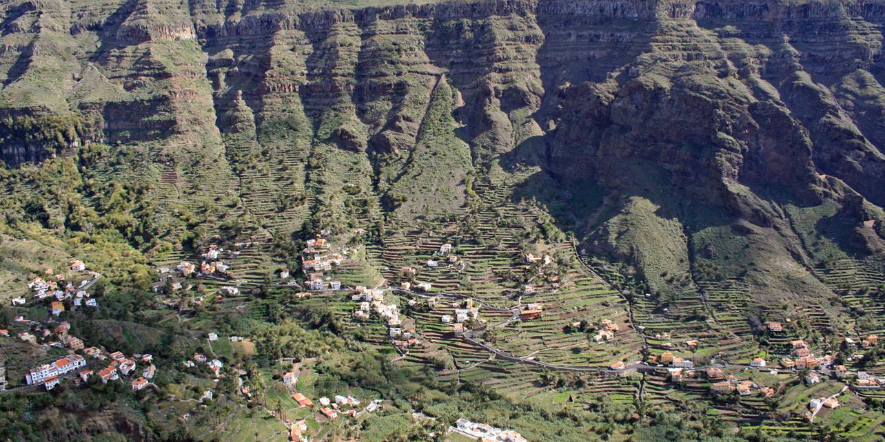 Mirador del Palmarejo Mirador del Palmarejo