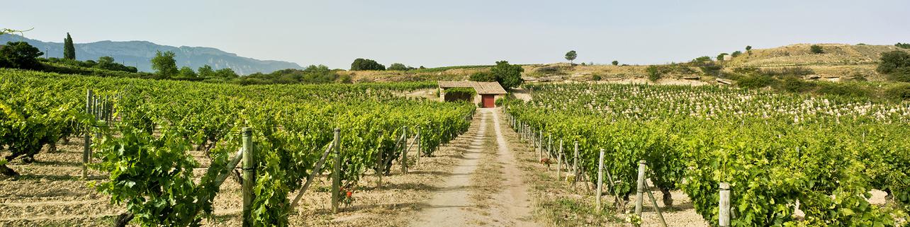 Bodegas y Viñedos Artadi Bodegas y Viñedos Artadi