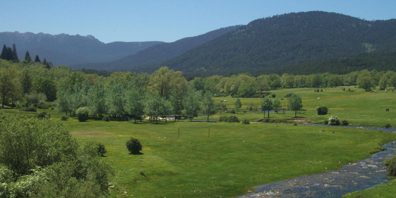 Pinar y Montes de Valsain Pinar y Montes de Valsain