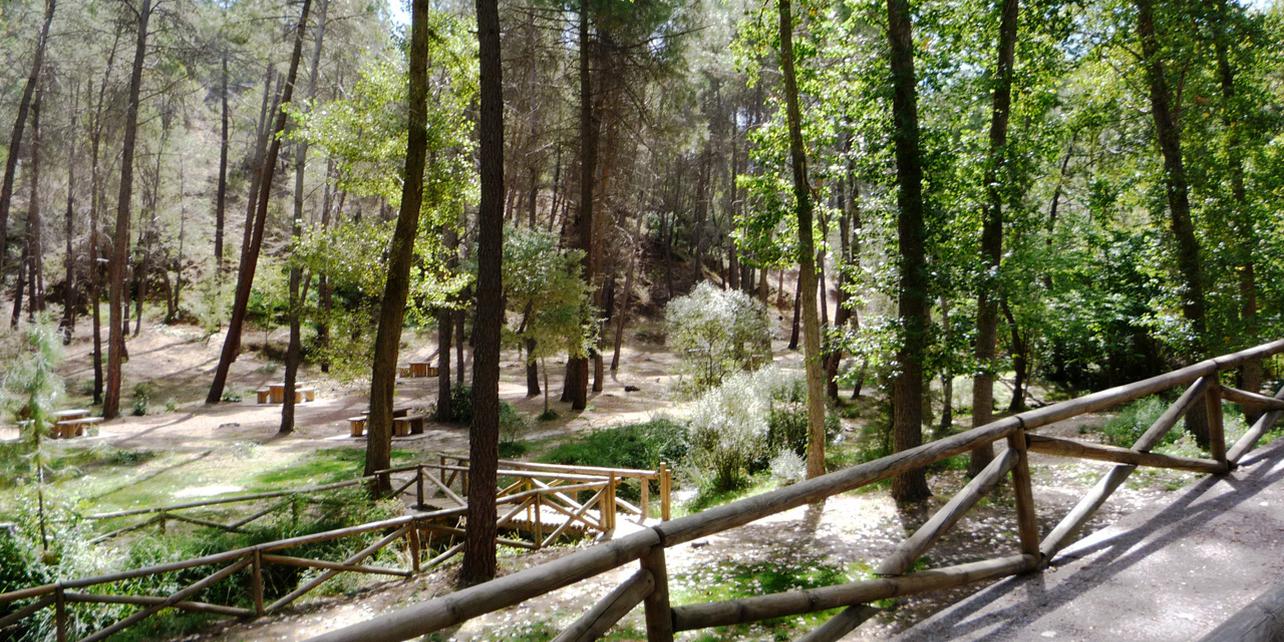 Peña del Olivar Peña del Olivar