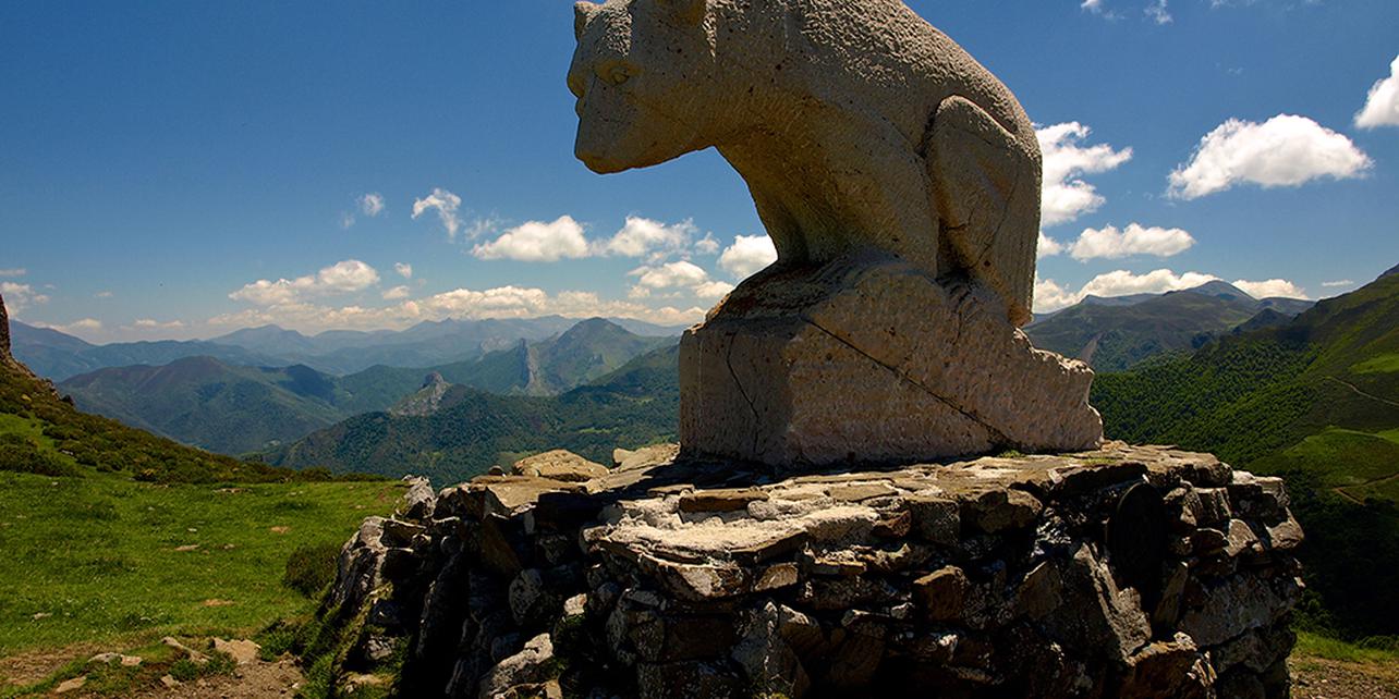 Mirador del Oso Mirador del Oso