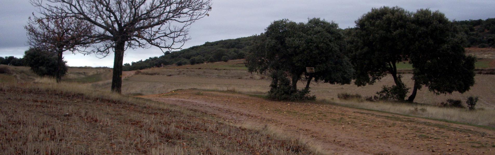 Foto de Jardín del Brujo en Villares de Órbigo, León