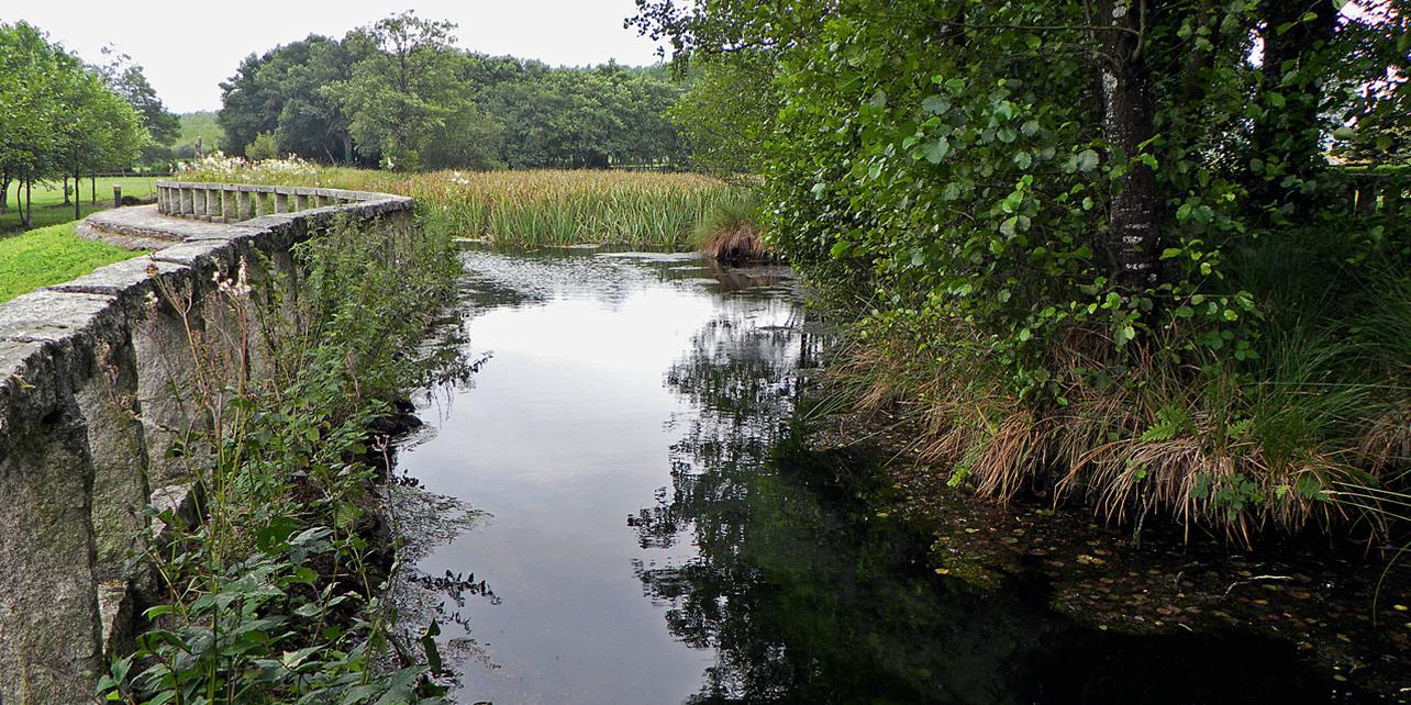 Nacimiento del río Miño (Laguna de Fonmiñá) Nacimiento del río Miño (Laguna de Fonmiñá)