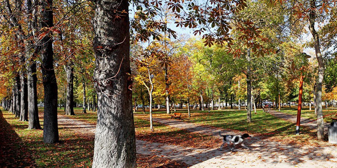 Parque Natural El Prado Parque Natural El Prado