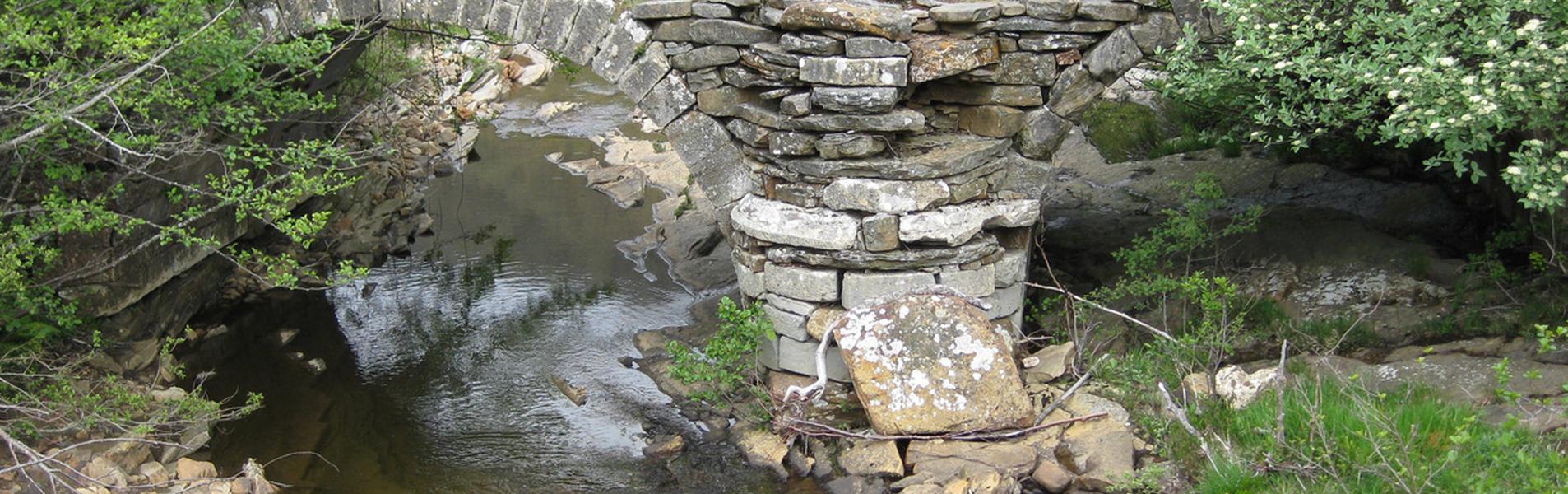 Merindad de Montija Guía Repsol