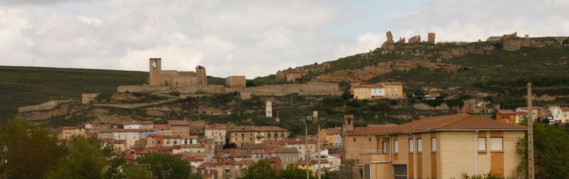 Cerezo de Río Tirón Guía Repsol