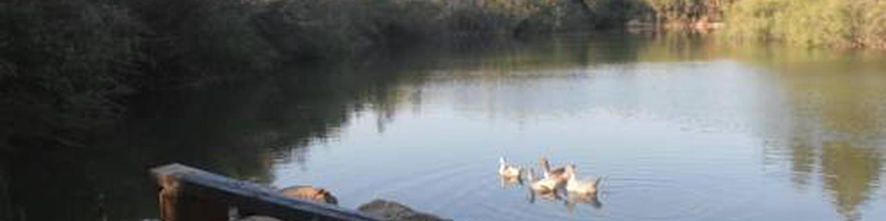 Oasis Country Park Oasis Country Park