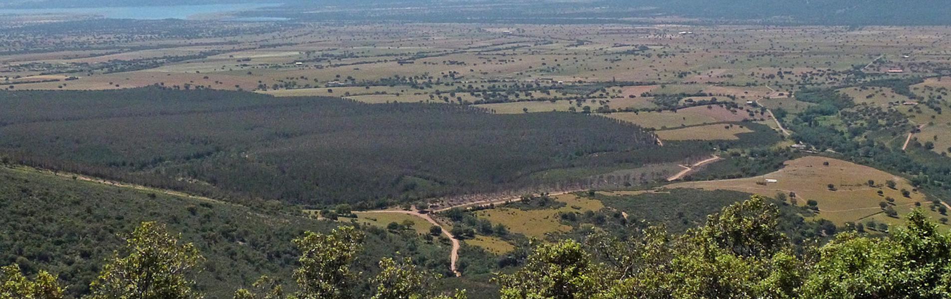 El Campillo de la Jara Guía Repsol