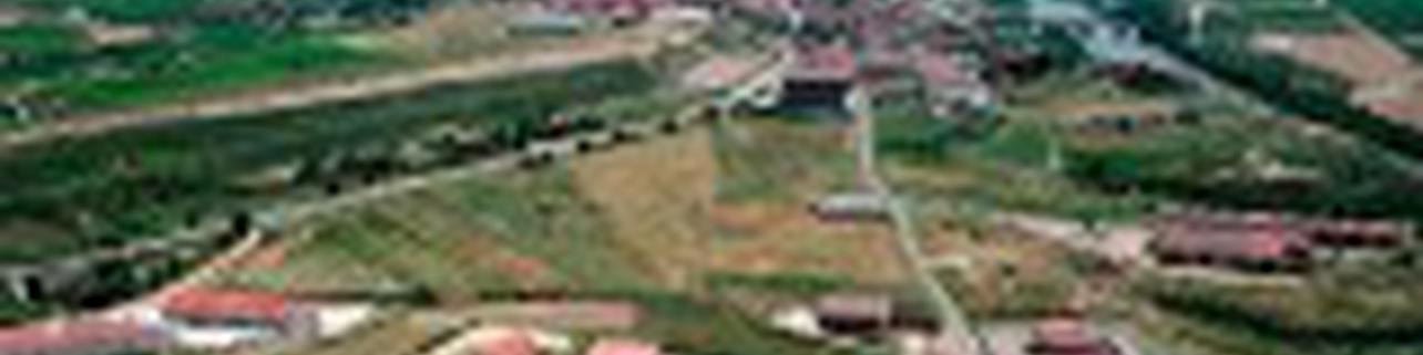 Bodegas Hermanos Peciña, S.L. Bodegas Hermanos Peciña, S.L.