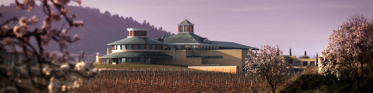 Bodegas Vivanco Bodegas Vivanco