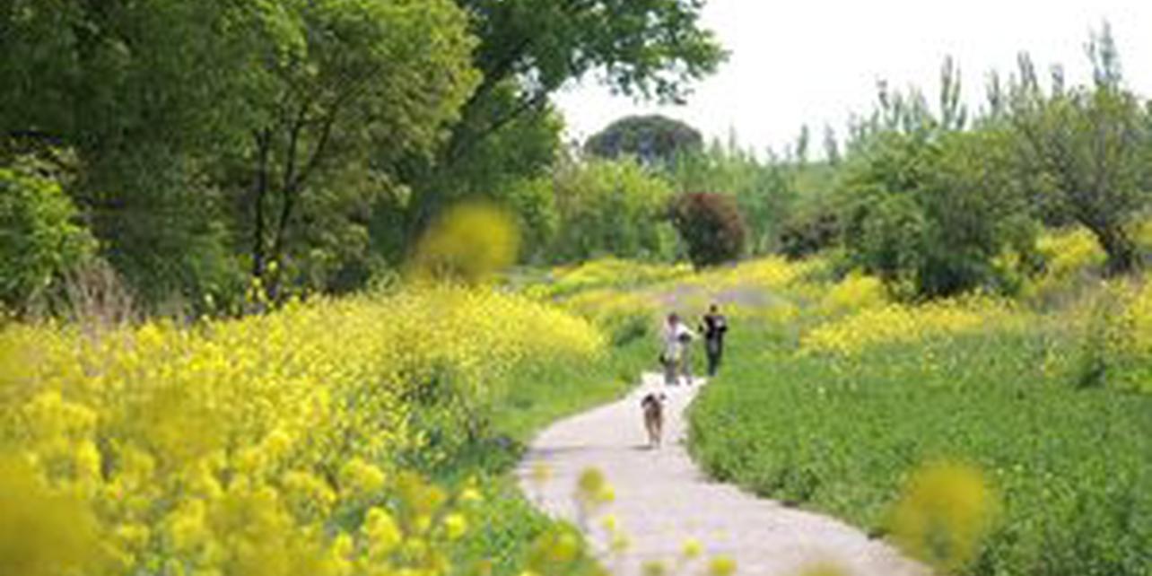 Parque del Ebro Parque del Ebro