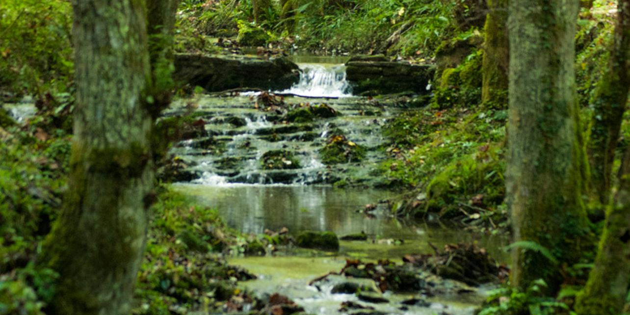Parque Natural de Pagoeta Parque Natural de Pagoeta
