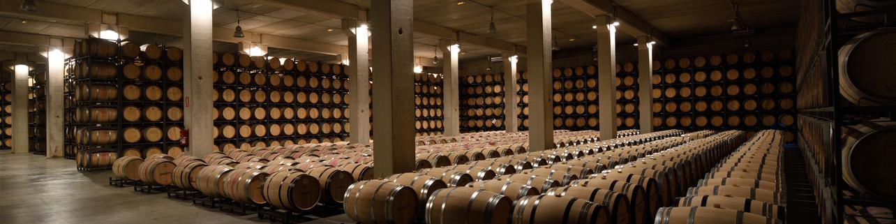 Bodegas Sonsierra Bodegas Sonsierra