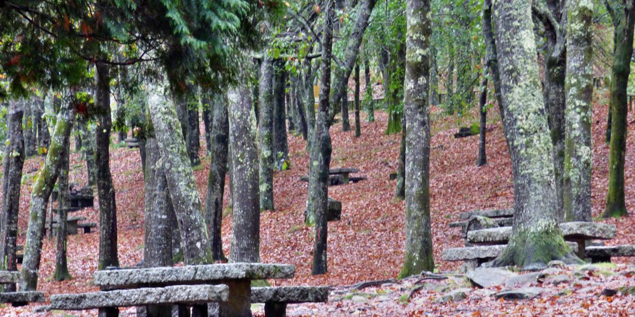 Parque natural de Cotorredondo Parque natural de Cotorredondo