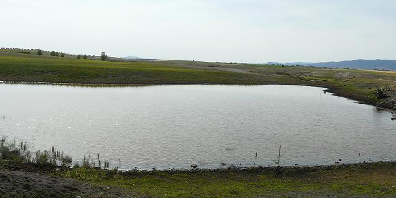 Ojos del Guadiana Ojos del Guadiana