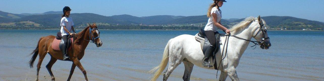 1h de Ruta a Caballo por la playa de Laredo en Cantabria 1h de Ruta a Caballo por la playa de Laredo en Cantabria