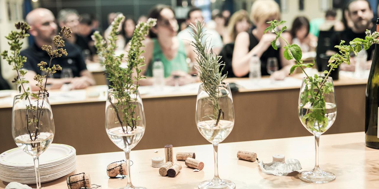 Muestra Gastronómica y Festival del Vino Somontano Muestra Gastronómica y Festival del Vino Somontano