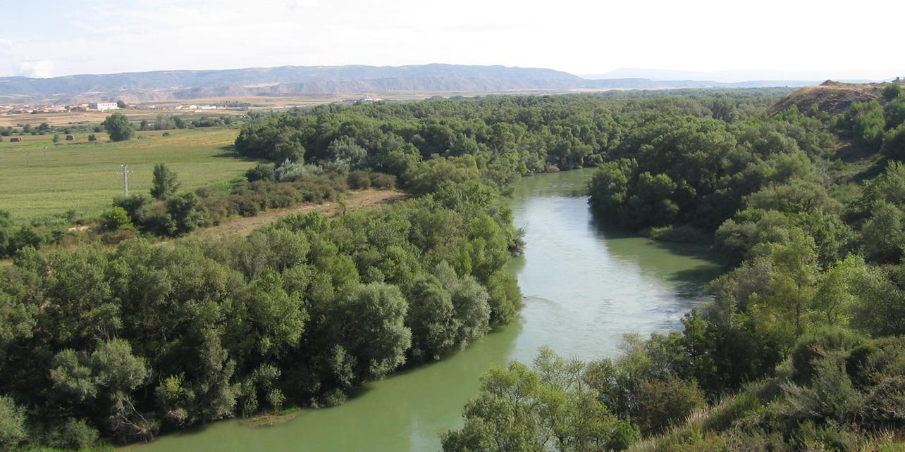 Pinar de Santa Águeda Pinar de Santa Águeda