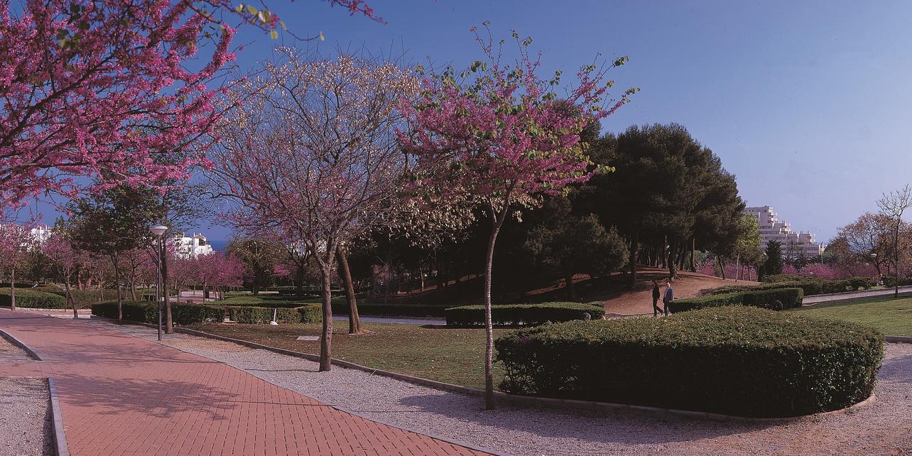 Parque de la Paloma Parque de la Paloma