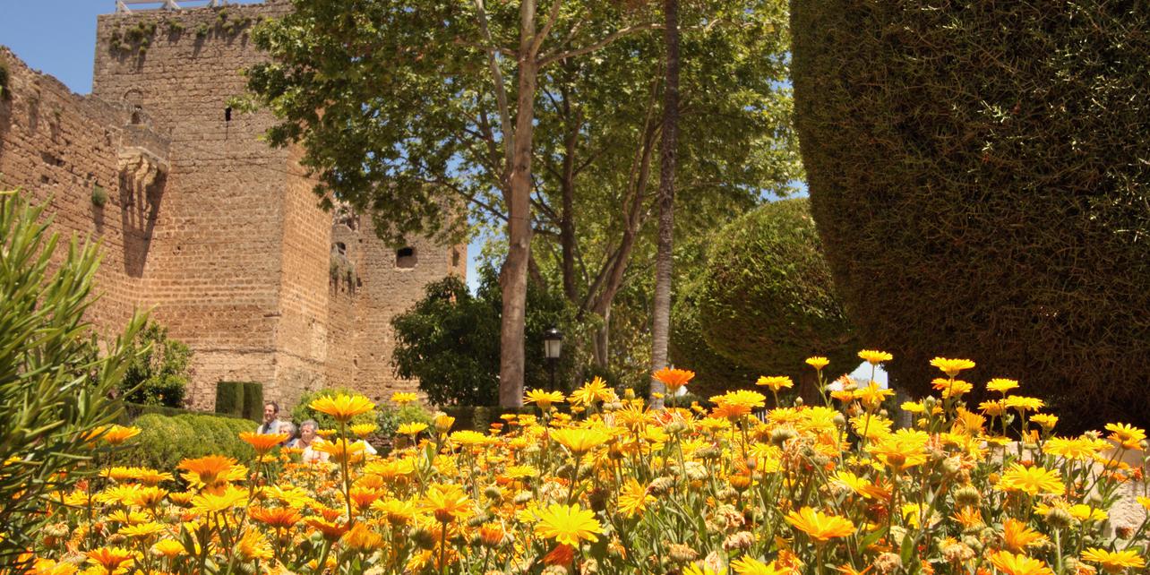 Castillo de Priego de Córdoba Castillo de Priego de Córdoba