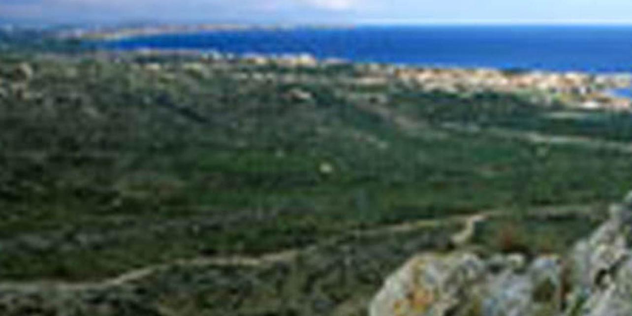 Mirador de les Rojales Mirador de les Rojales