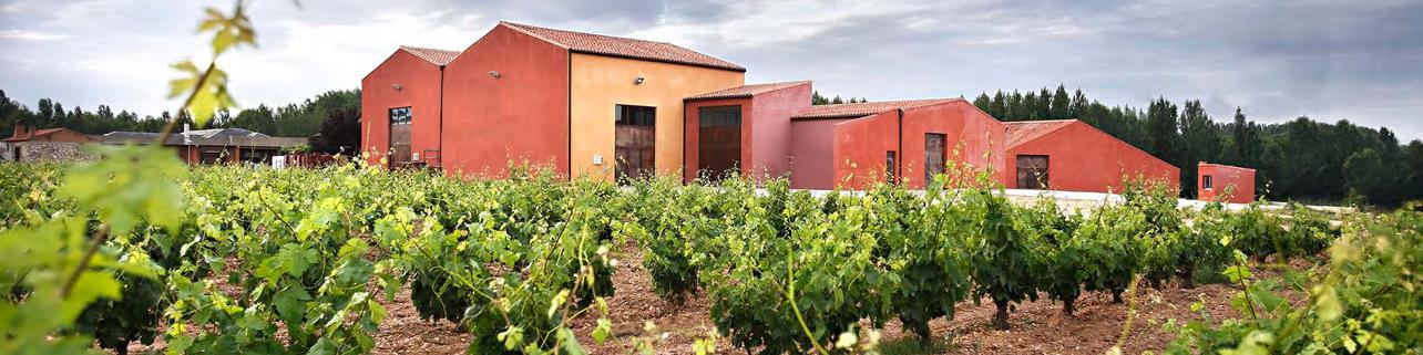 Bodegas y Viñedos Ortega Fournier S.L. Bodegas y Viñedos Ortega Fournier S.L.