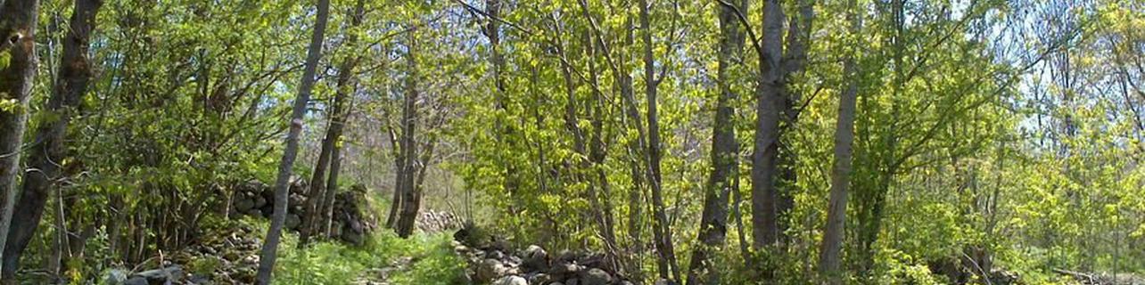 Arte románico en el Valle del Boí Arte románico en el Valle del Boí