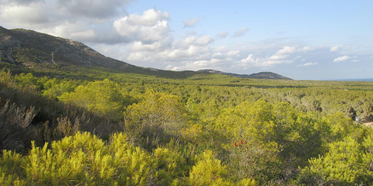 Parque Natural de la Sierra de Irta Parque Natural de la Sierra de Irta