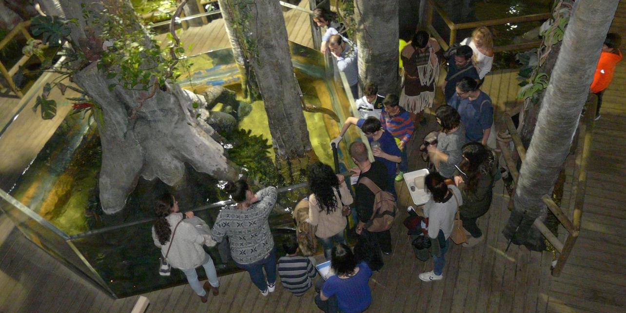 Acuario de Zaragoza Acuario de Zaragoza