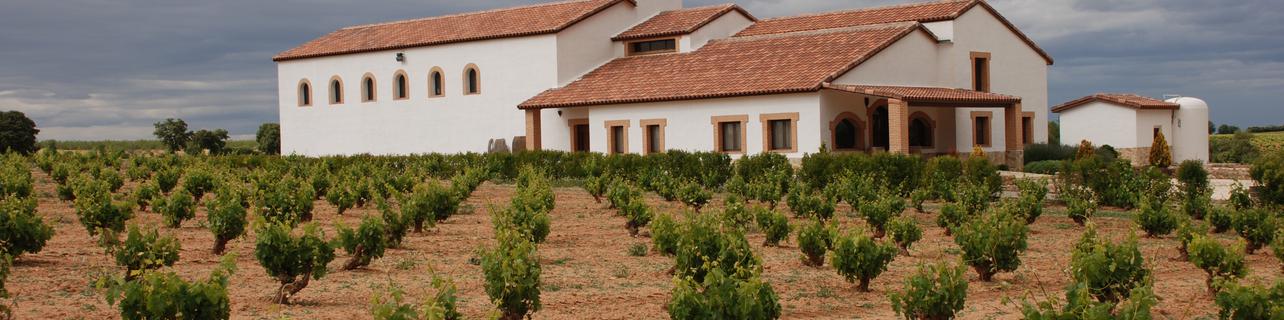 Bodegas y Viñedos Pinuaga S.L Bodegas y Viñedos Pinuaga S.L