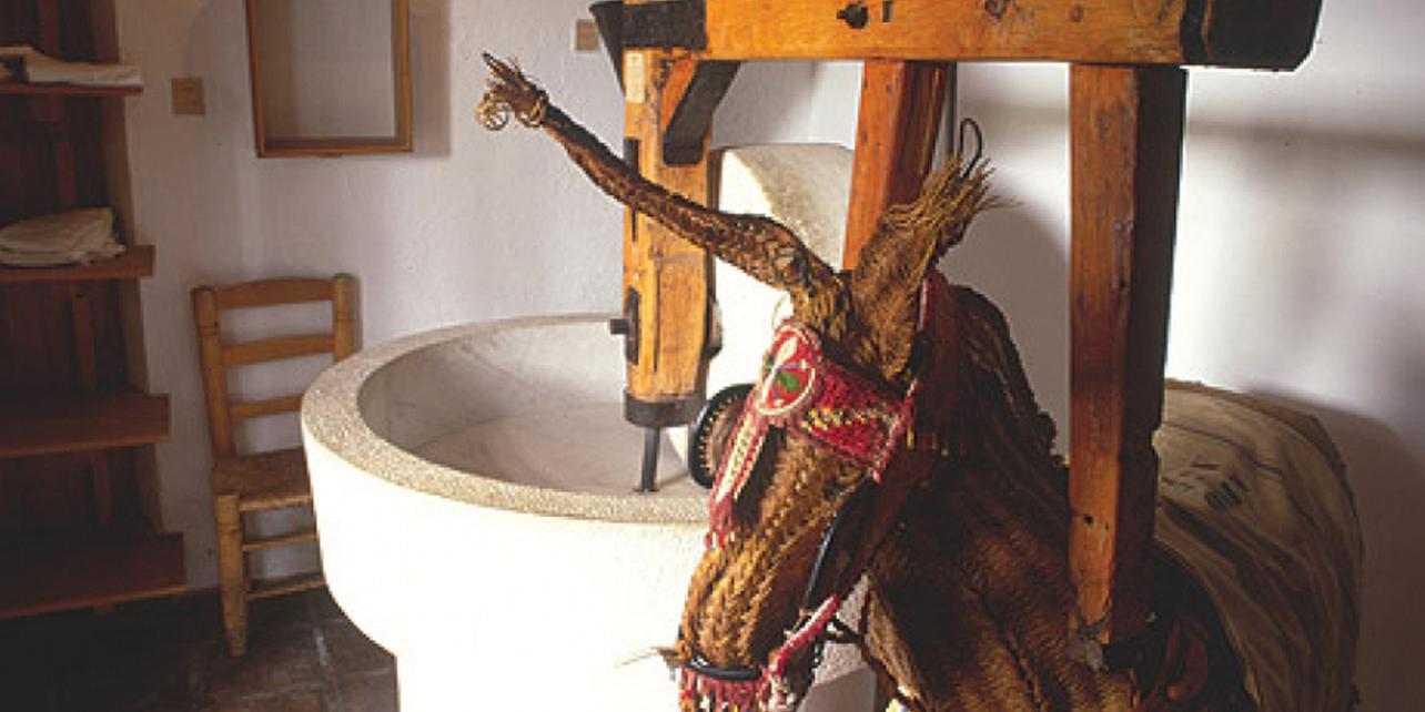 Casa Museo Casa Museo
