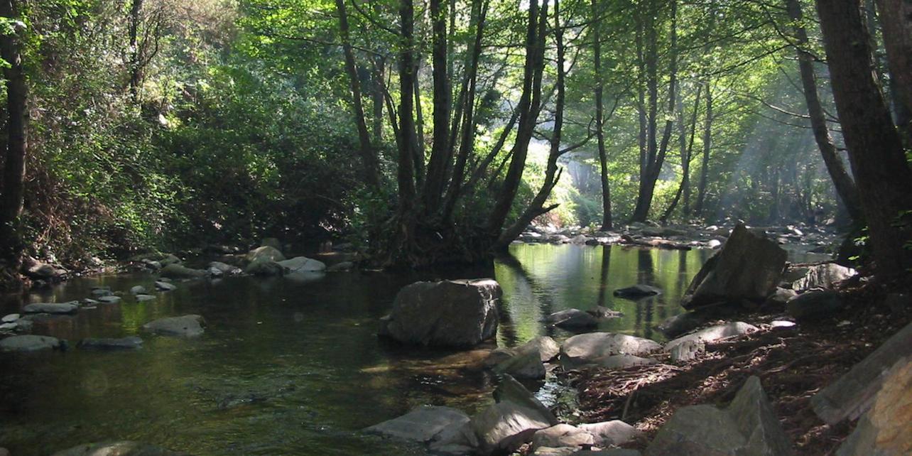 Parque natural de Montseny Parque natural de Montseny