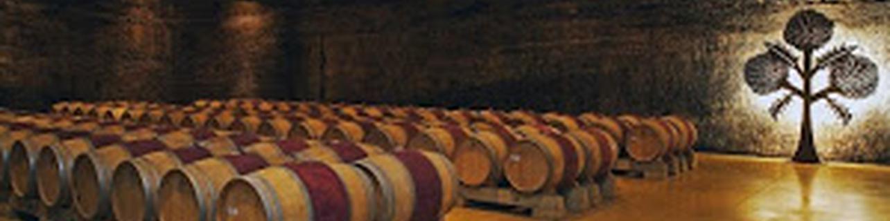 Bodegas Roda S.A. Bodegas Roda S.A.