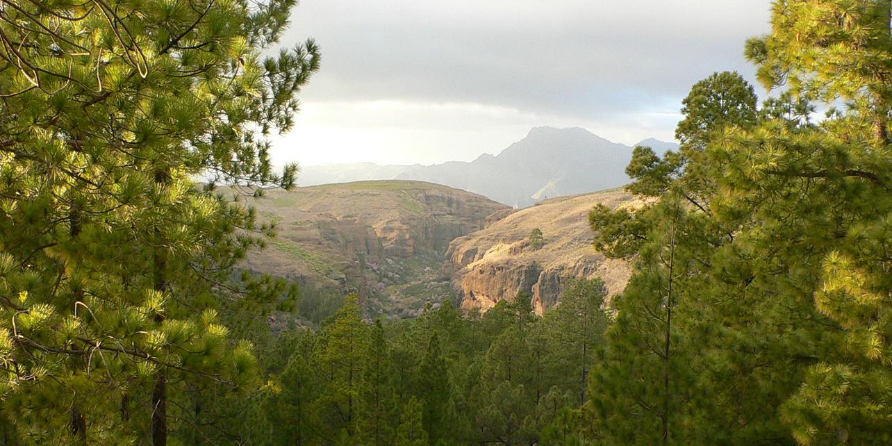 Parque Natural de Ojeda, Inagua y Pajonales Parque Natural de Ojeda, Inagua y Pajonales