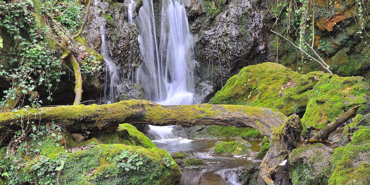 Parque Natural de Gorbeia Parque Natural de Gorbeia