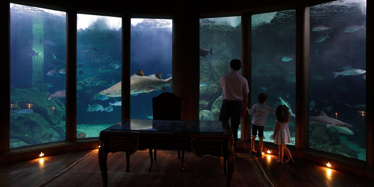 Aquarium Finisterrae Aquarium Finisterrae