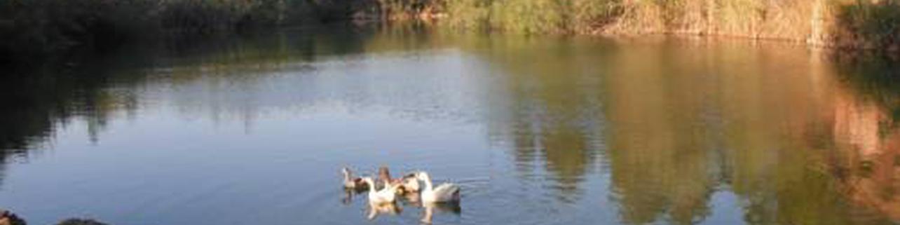 Pet Holidays Spain Pet Holidays Spain