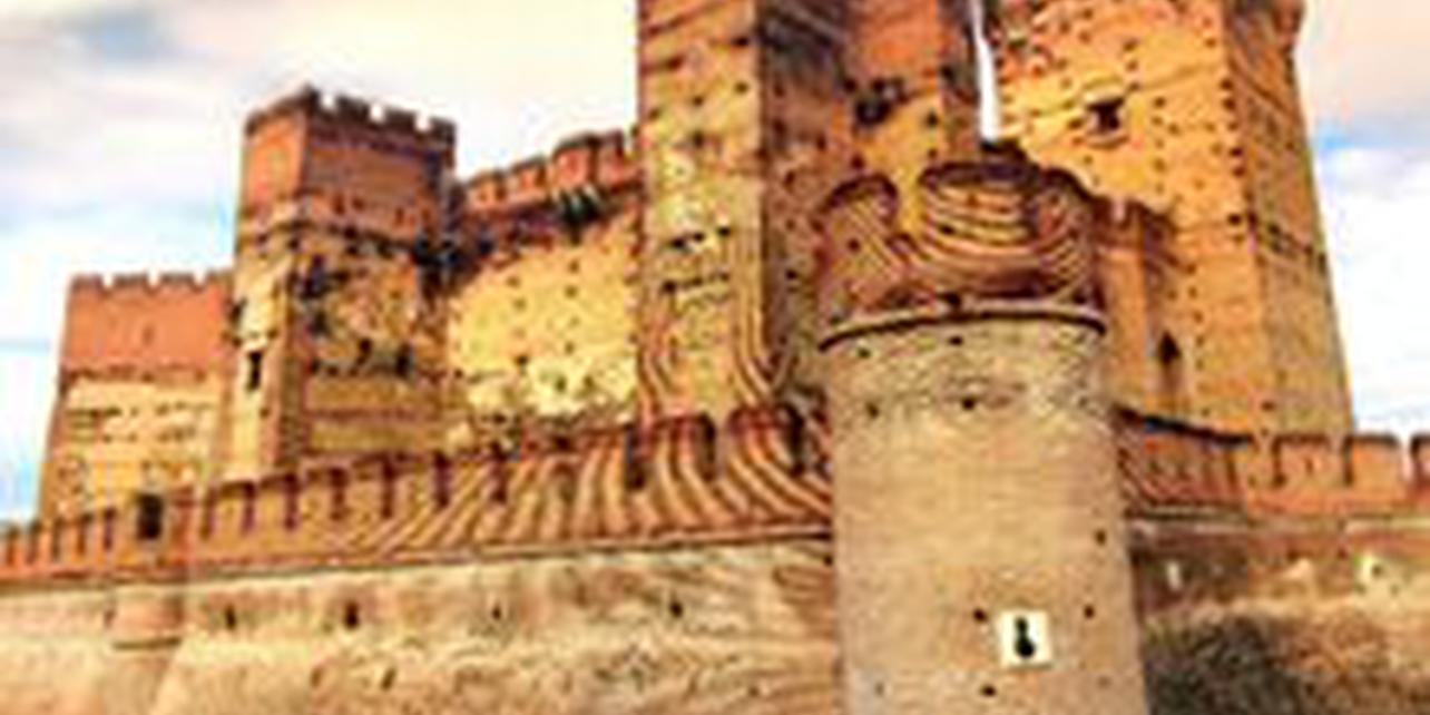 Castillo de la Mota Castillo de la Mota