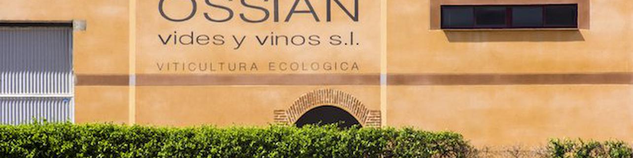 Ossian Vides y Vinos Ossian Vides y Vinos