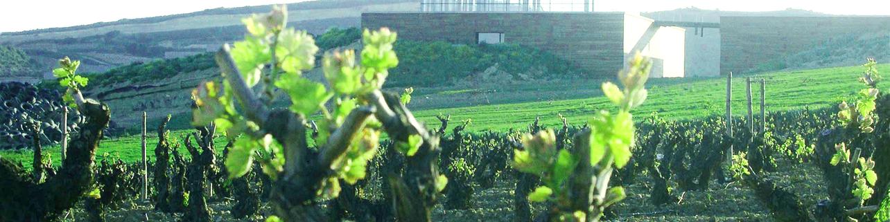 Bodegas Baigorri Bodegas Baigorri