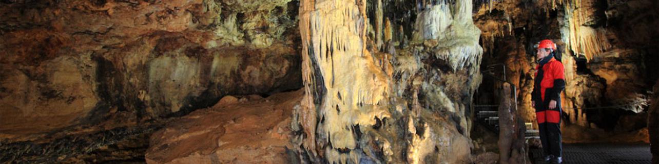Así vivían los prehistóricos en los Enebralejos Así vivían los prehistóricos en los Enebralejos