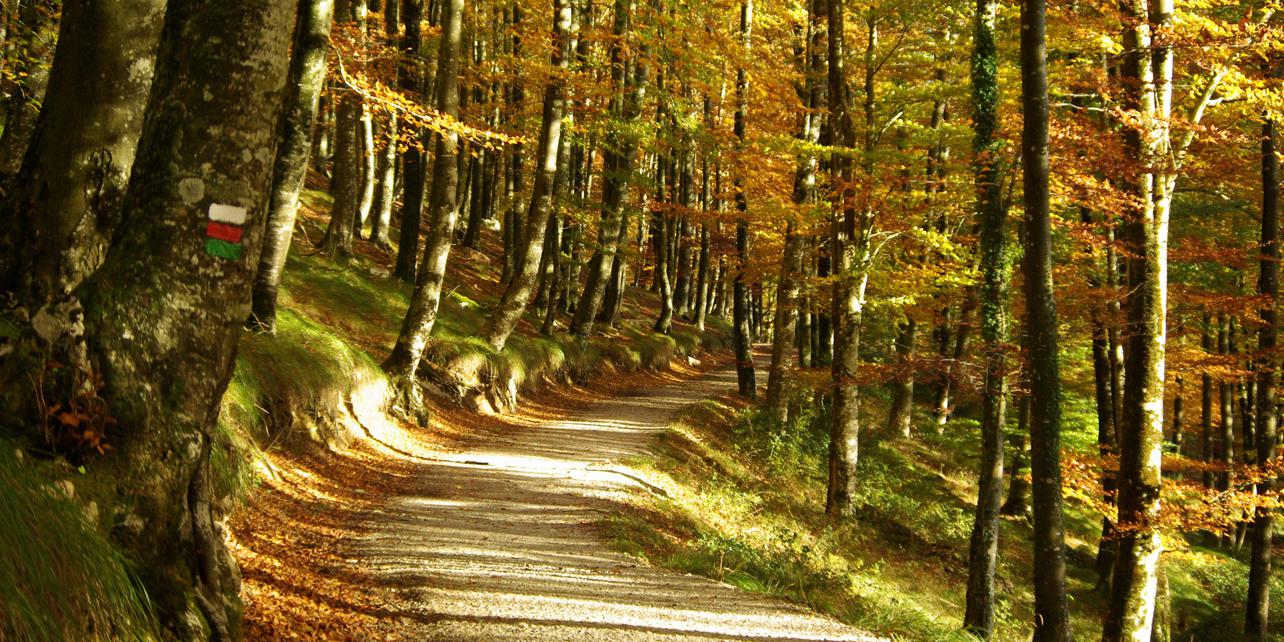 Parque Natural de Aralar Parque Natural de Aralar