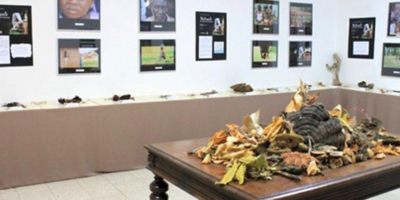 Museo de Ciencias Naturales AVAN Museo de Ciencias Naturales AVAN